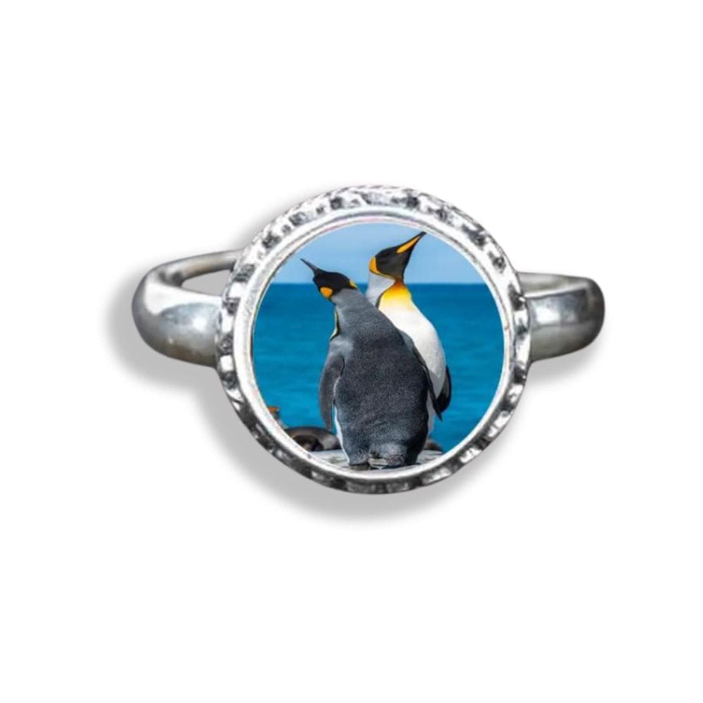 Arctic penguin aquamarine ring - Silver / Resizable