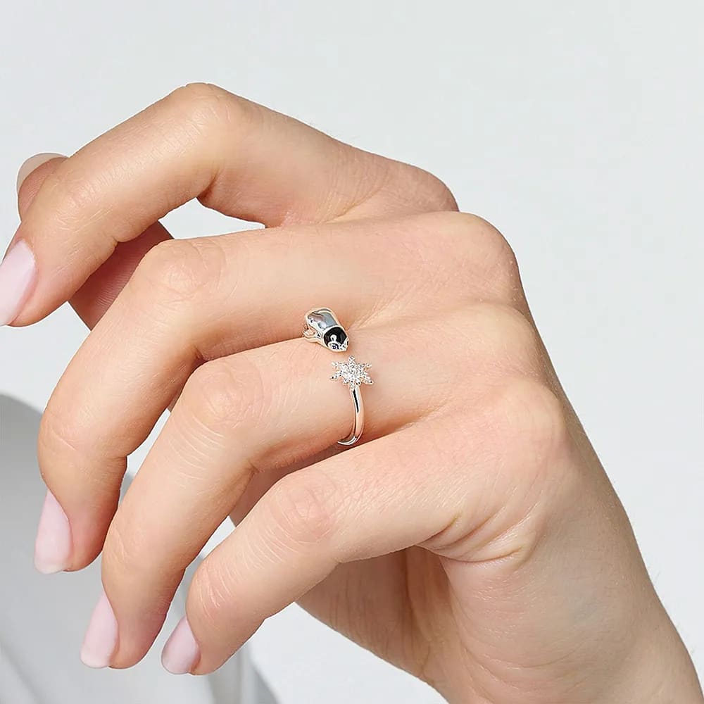 Diamond penguin ring - Silver / Resizable